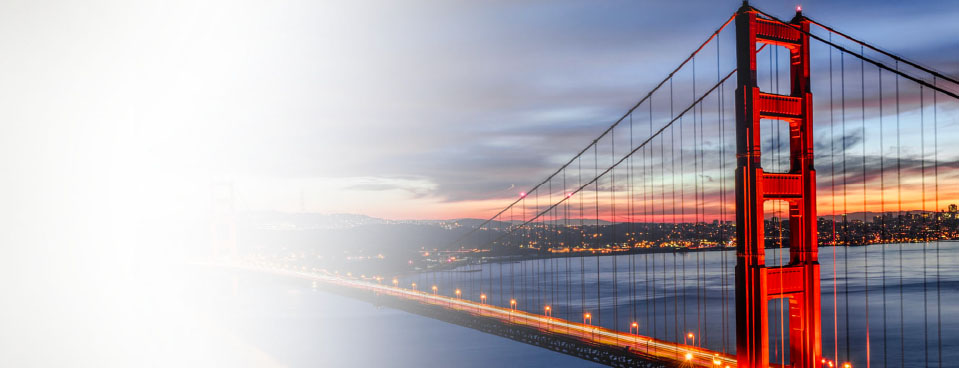 Executive Search Process